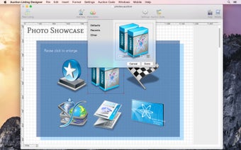 Image 2 for Auction Listing Designer