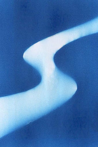 Image 0 for WindSong