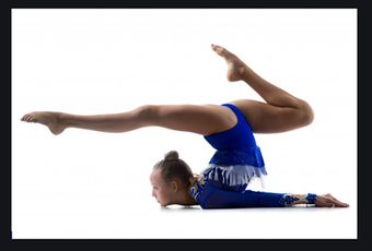 Imagen 2 para Rhythmic and Artistic Gym…