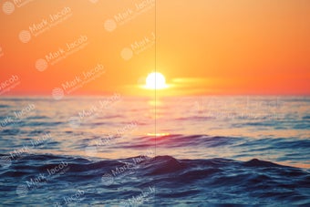 Imagen 0 para Visual Watermark
