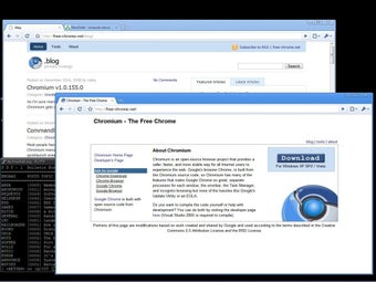 Image 0 for Chromium