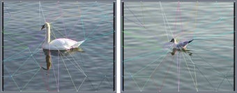 Imagen 0 para CHV Morphing FX