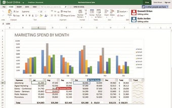 Image 0 for Excel Online