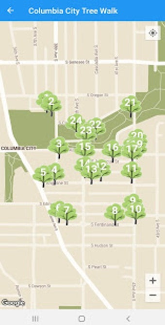 Image 3 for Seattle Tree Walks