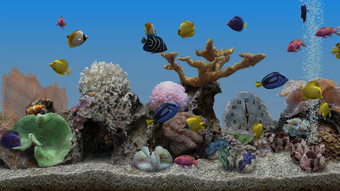 Imagen 0 para Marine Aquarium 3.3