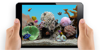 Imagen 2 para Marine Aquarium 3.3