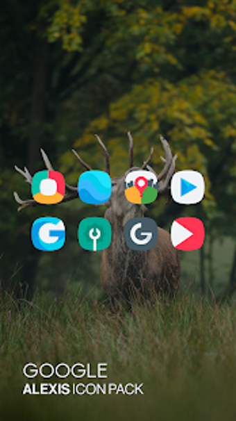 Imagen 0 para Alexis Icon Pack: Clean a…