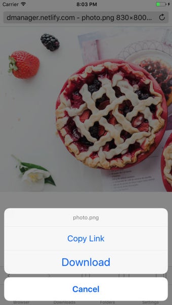 Image 2 for DManager - Browser and Fi…