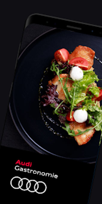 Image 0 for Audi Gastronomie