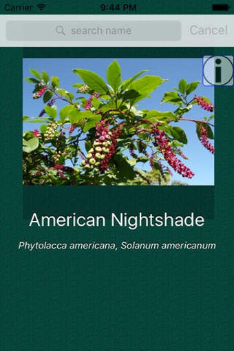 Image 0 for Plant Dictionary Common a…