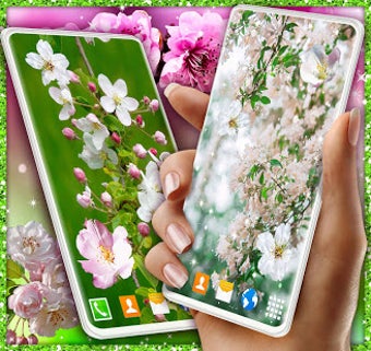 Imagen 0 para Cherry Blossom 3D Wallpap…