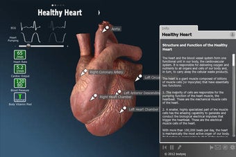 Image 0 for bodyxq heart