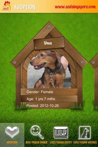 Image 0 for Action for Singapore Dogs