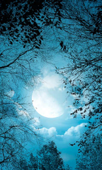 Image 2 for Moon Live Wallpaper (back…