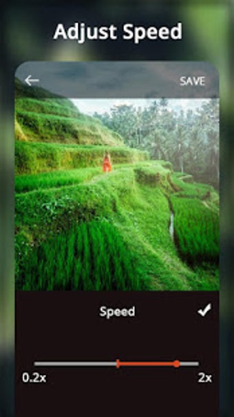 Image 1 for Video Status Lab - Create…