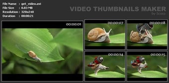 Image 0 for Video Thumbnails Maker