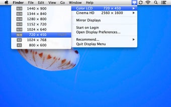 Image 0 for Display Menu