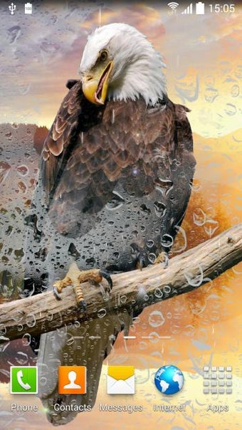 Imagen 2 para Birds Live Wallpaper