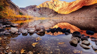 Imagen 0 para Smart Camera HD PRO+ FREE