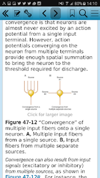 Image 1 for Guyton Medical Physiology…