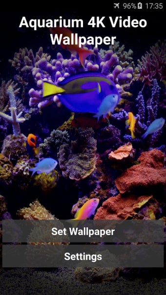 Image 3 for Aquarium 4K Video Wallpap…