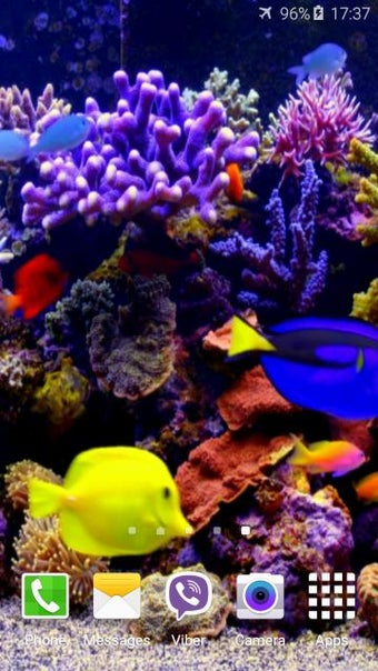 Image 4 for Aquarium 4K Video Wallpap…