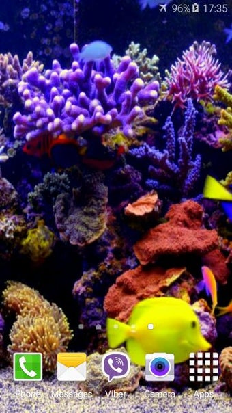 Image 2 for Aquarium 4K Video Wallpap…