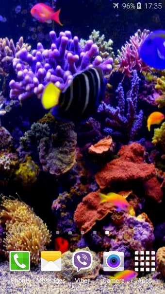 Image 0 for Aquarium 4K Video Wallpap…