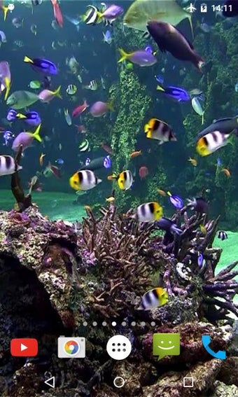 Image 1 for Aquarium 4K Video Wallpap…