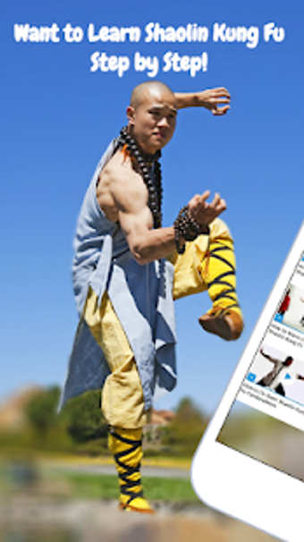 Imagen 1 para Kung Fu