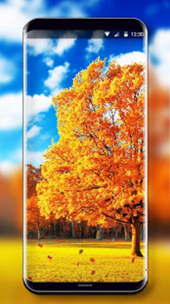 Imagen 3 para Autumn Leaves Live Wallpa…