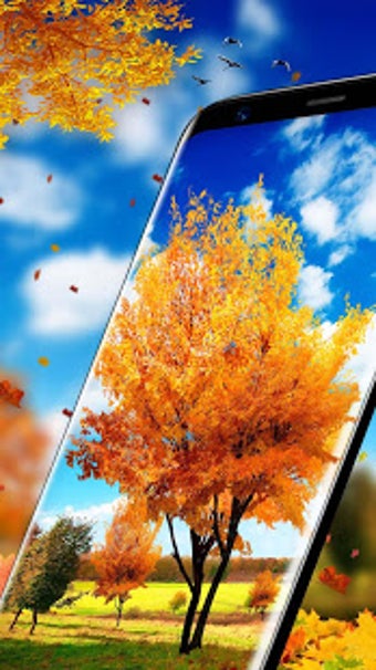 Imagen 0 para Autumn Leaves Live Wallpa…