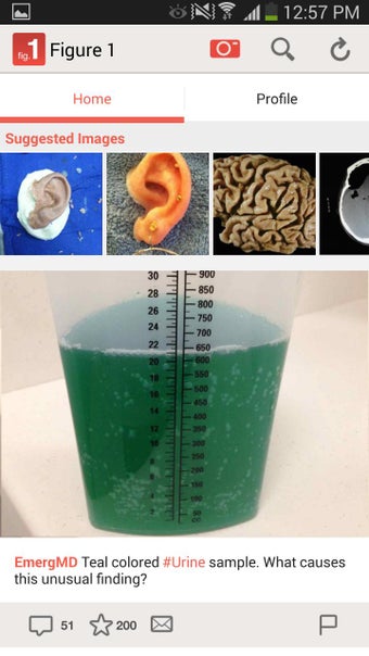 Imagen 4 para Figure 1 - Medical Images