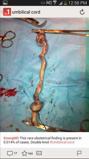 Imagen 1 para Figure 1 - Medical Images