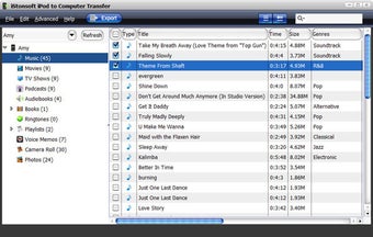 Imagen 0 para iStonsoft iPod to Compute…