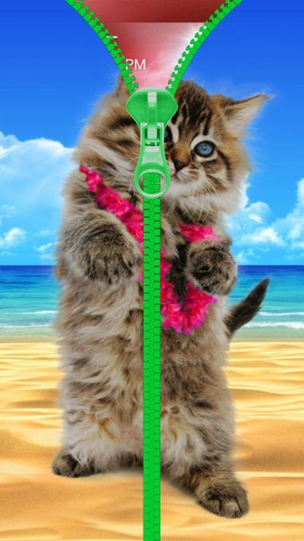 Imagen 0 para Cats lock screen. Zipper.