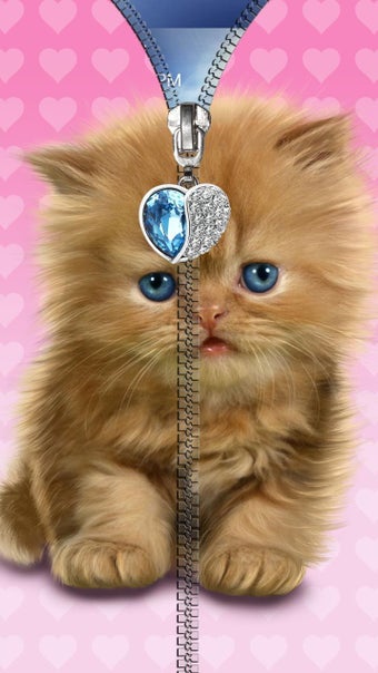 Imagen 1 para Cats lock screen. Zipper.