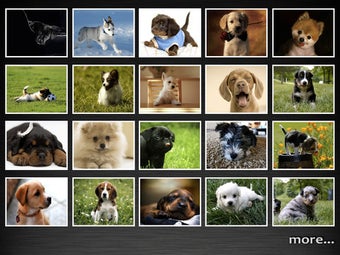 Imagen 0 para Puppies Adorable Wallpape…