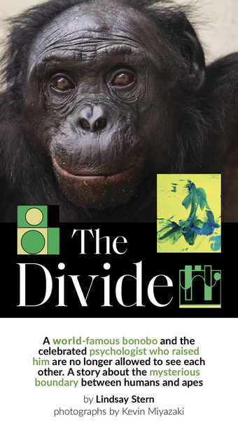 Image 0 for Smithsonian Magazine