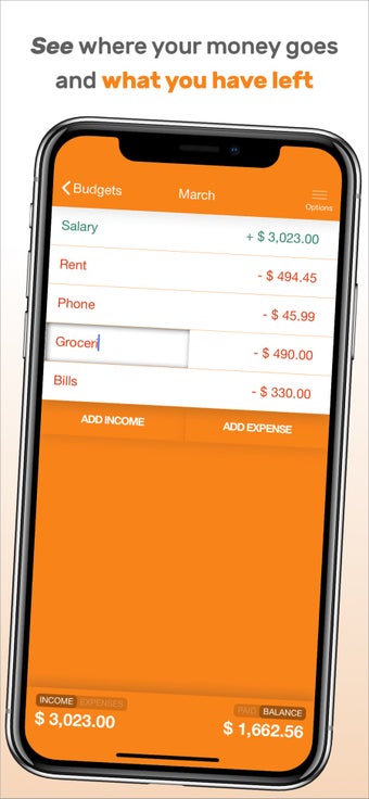 Image 3 for Fudget Pro: Budget Planne…