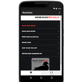 Image 1 for Wood Duck Calls Wood Duck…