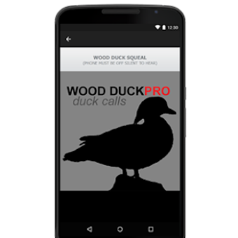 Image 0 for Wood Duck Calls Wood Duck…