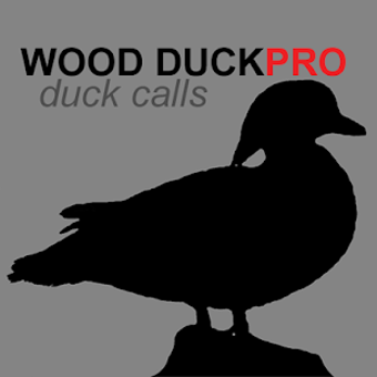 Image 2 for Wood Duck Calls Wood Duck…