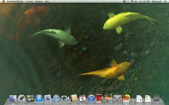 Image 1 for Koi Pond 3D Lite
