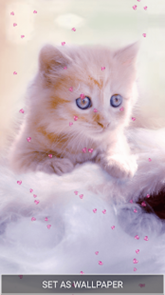 Imagen 0 para Cute Kitten Live Wallpape…