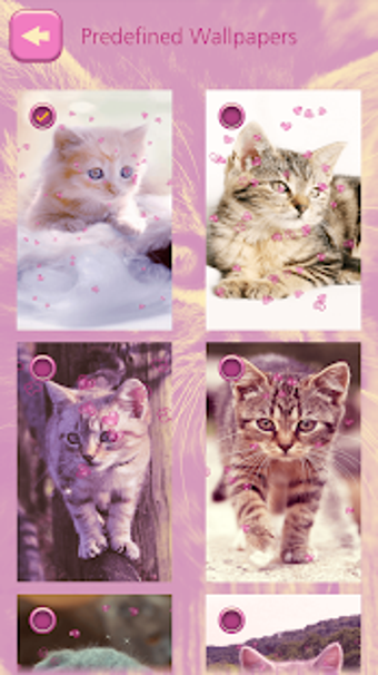 Imagen 3 para Cute Kitten Live Wallpape…