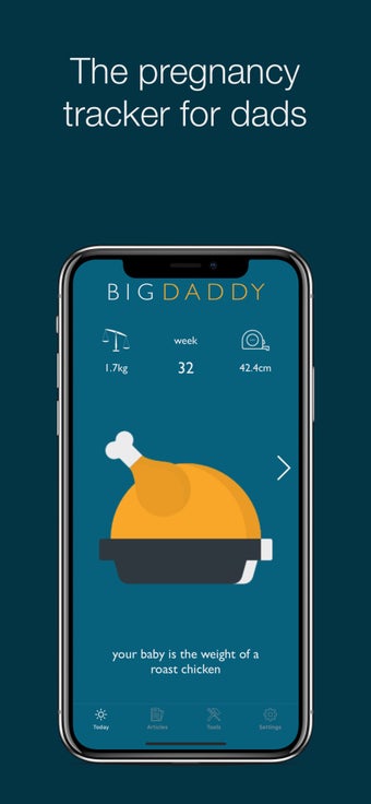 Image 0 for The Big Daddy