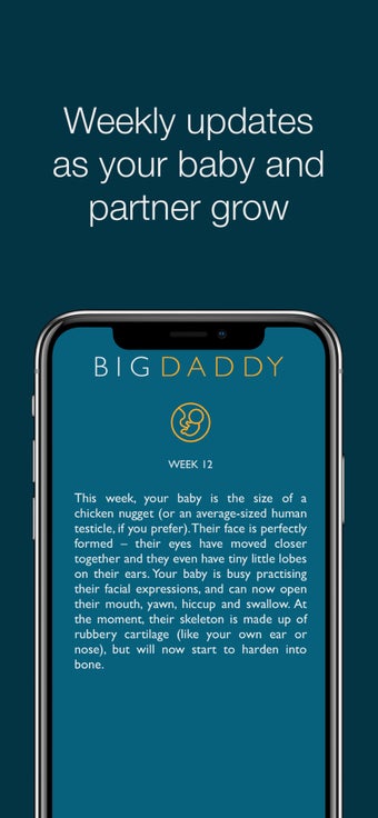 Image 2 for The Big Daddy