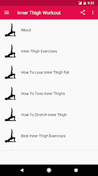 Image 1 for Inner Thigh Workout