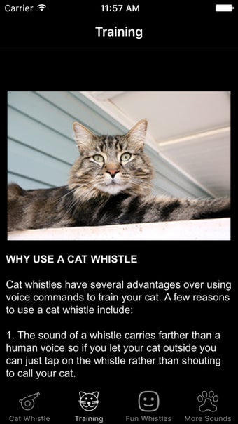 Image 0 for Cat Whistle & Training - …